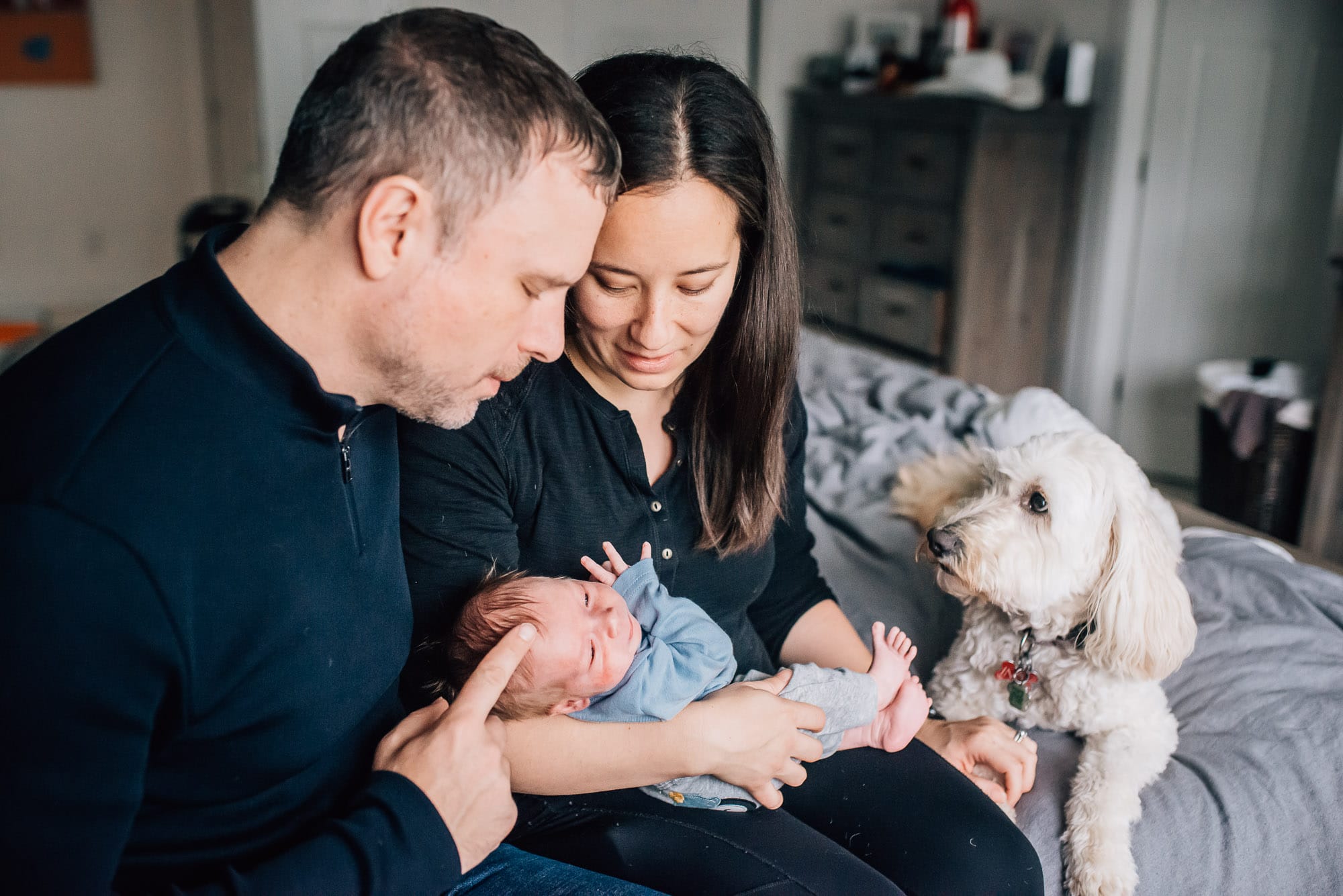 parents and dog look at vancouver newborn baby