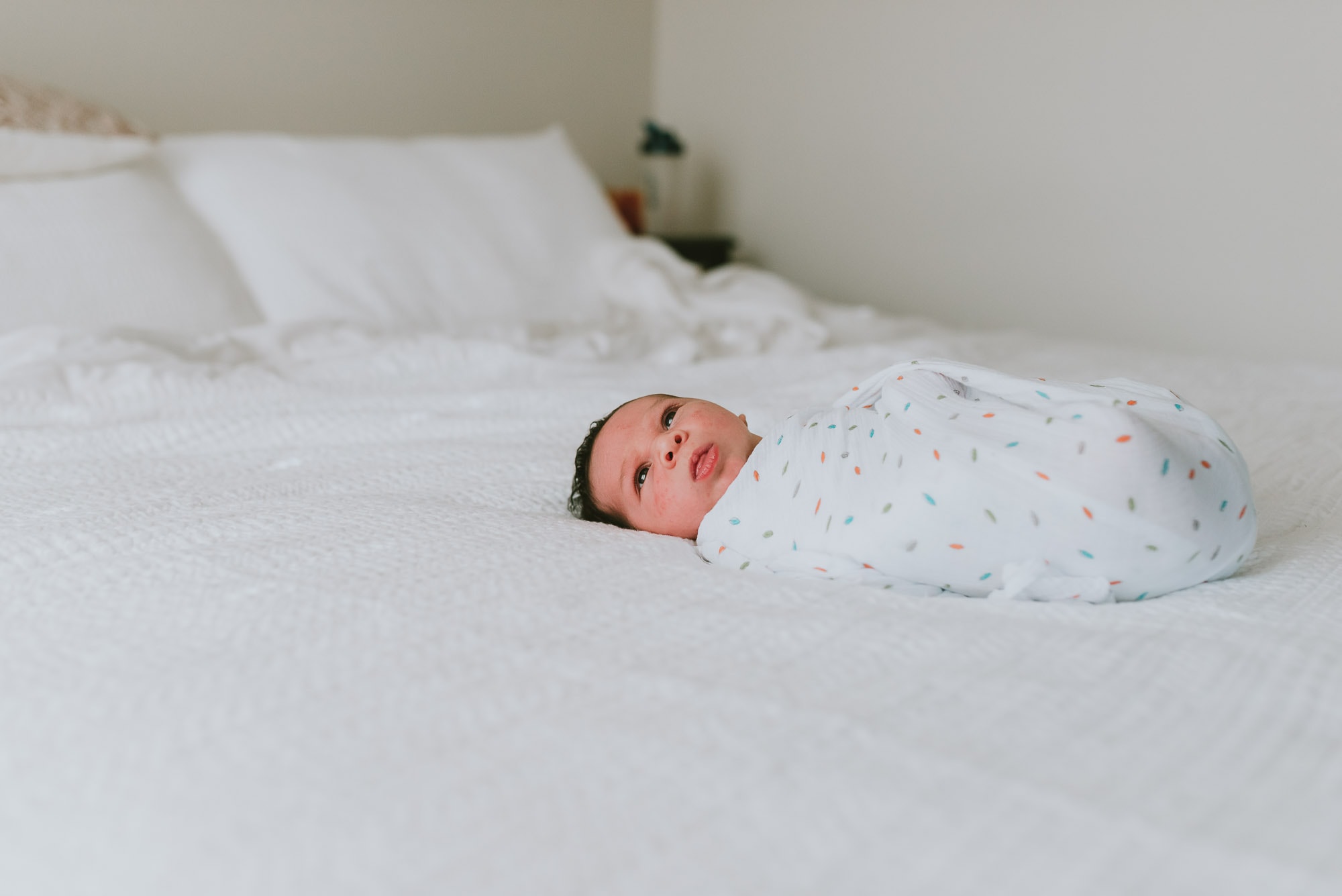 newborn photography in vancouver