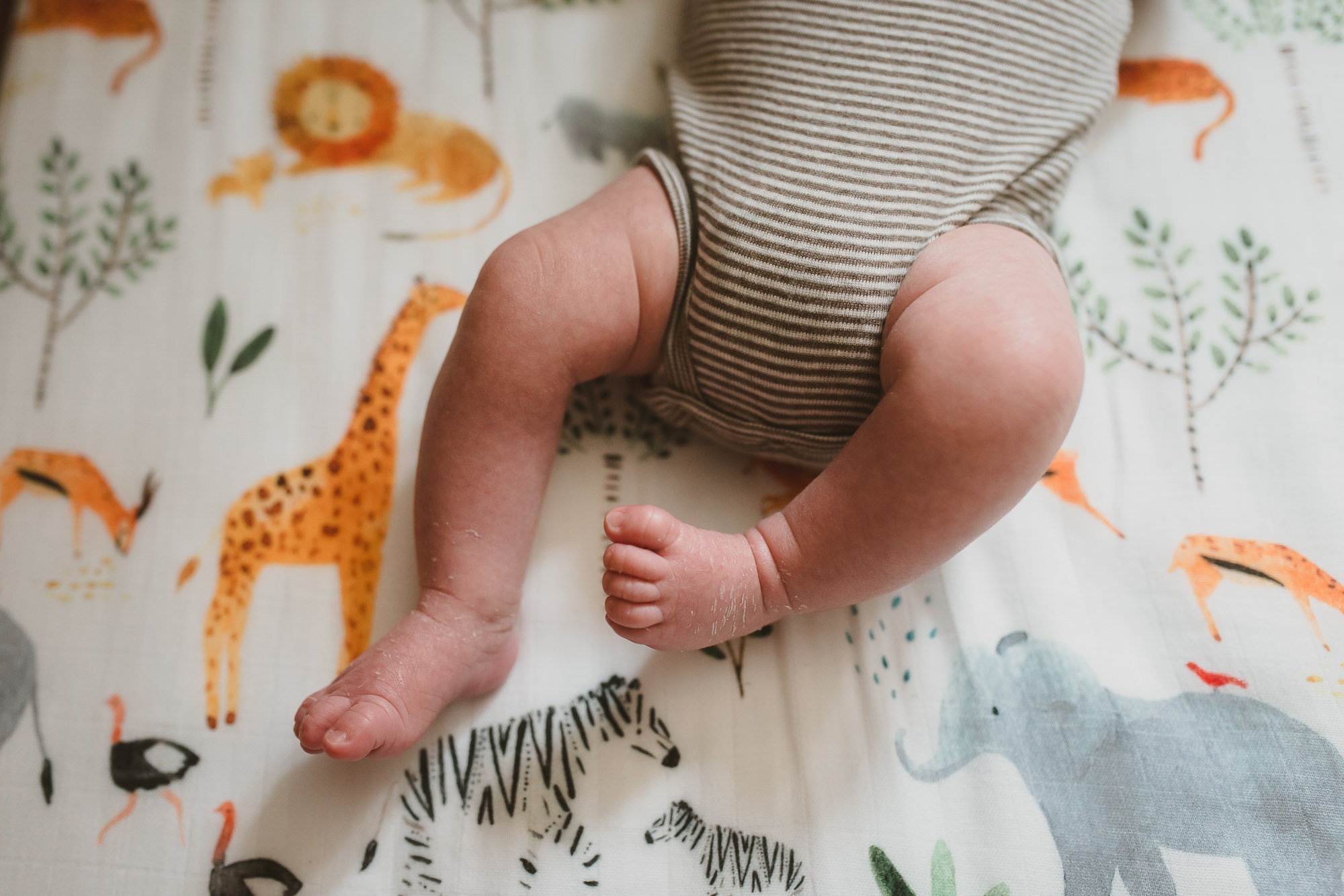 Vancouver newborn photographer shows little newborn baby legs