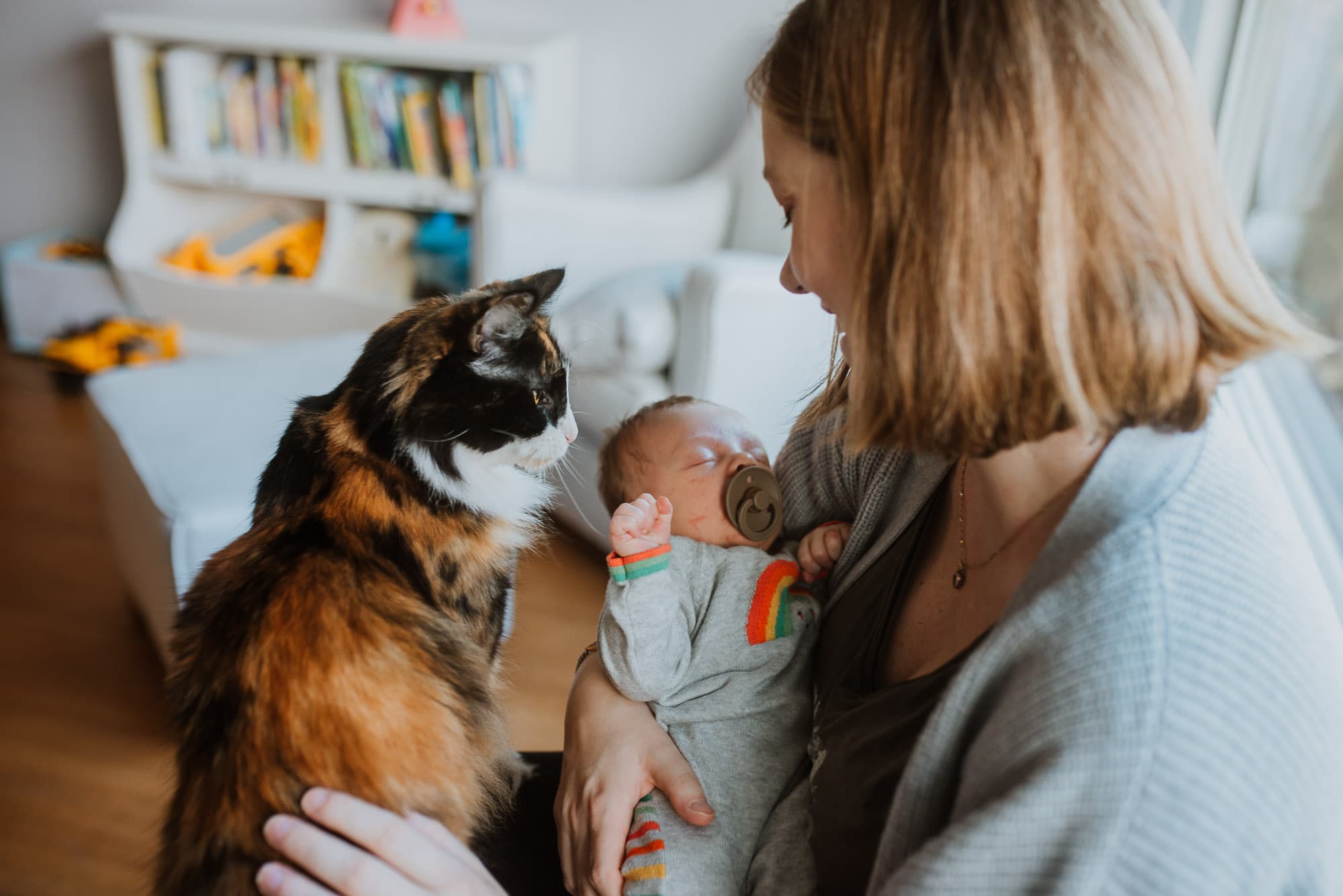 lifestyle newborn photography with pets