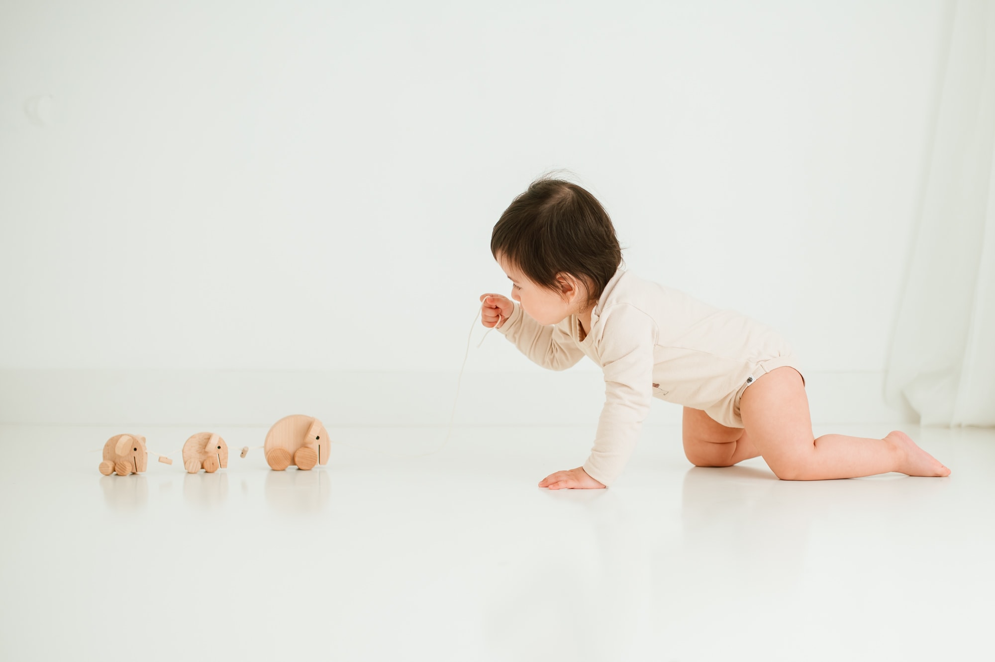 Minimalist portrait against a white background of toddler pulling a family of three wooden elephants on a string.